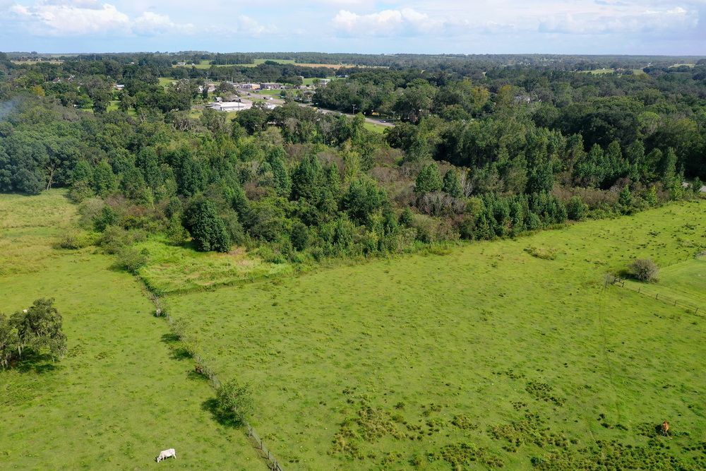 SR 52, San Antonio, FL 33576
